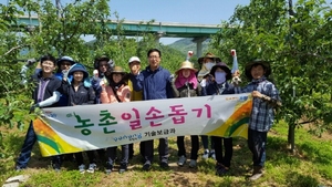 [NSP PHOTO]포항시 기술보급과, 사과나무 적과 일손지원