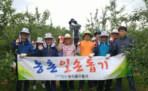 [NSP PHOTO]포항시 농식품유통과, 사과나무 적과 일손지원