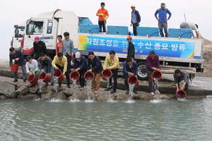 [NSP PHOTO]무안군, 수산자원 회복위해 어류종묘 방류