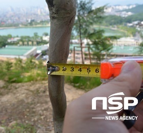 NSP NEWS