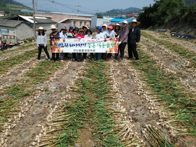 [NSP PHOTO]목포 연산동, 서남권하나되기 농촌일손돕기 봉사