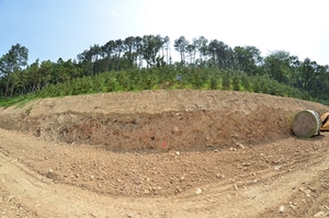 [NSP PHOTO]1년 새 두 차례 산림훼손 대구 수성호텔 노림수는