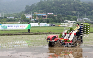 [NSP PHOTO]영암군, 친환경 벼 안전생산 위한 포트묘 이앙 연시회 개최