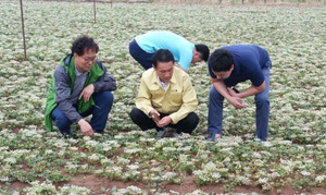 [NSP PHOTO]영덕군, 본격적인 영농철 맞아 순회 영농기술지도 실시