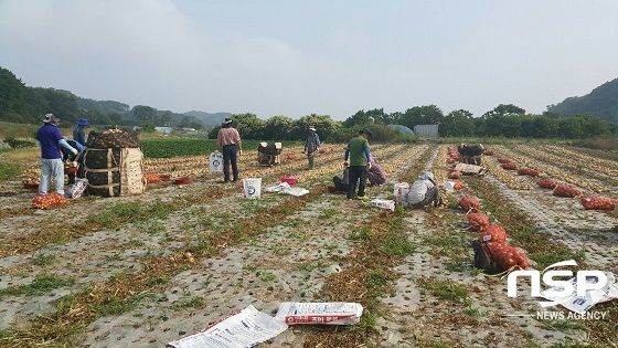 NSP통신- (부안군)