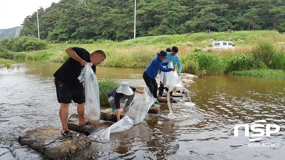 NSP통신- (고창군)