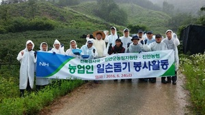 [NSP PHOTO]농협전북검사국, 진안 복분자 농가 일손 돕기