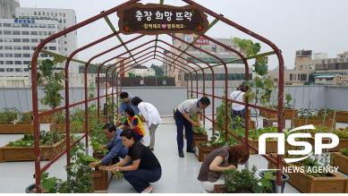 NSP통신-광주 동구 충장동주민센터에 조성된 옥상텃밭. (광주 동구)