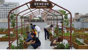 [NSP PHOTO]광주 동구 충장동주민센터, 옥상텃밭 조성 눈길