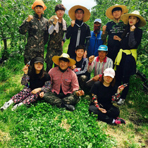 [NSP PHOTO]경북도, 대구.경북 7개 대학교와 영농 일손지원