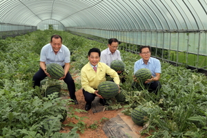 [NSP PHOTO]영암군, 산소농법 신기술로 농가 소득 증대