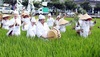 [NSP PHOTO]광주 북구, 풍년 기원 용전들노래 정기공연