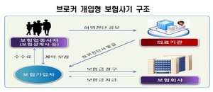 [NSP PHOTO]금감원, 보험설계사 낀 보험사기 브로커 혐의자 적발