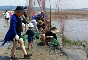 [NSP PHOTO]함평군, 돌머리해수욕장 개막이 체험 인기