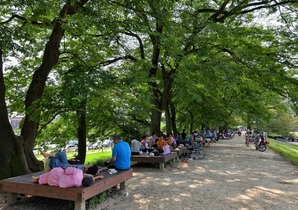 [NSP PHOTO]담양군 관방제림,  여름 피서지로 인기몰이