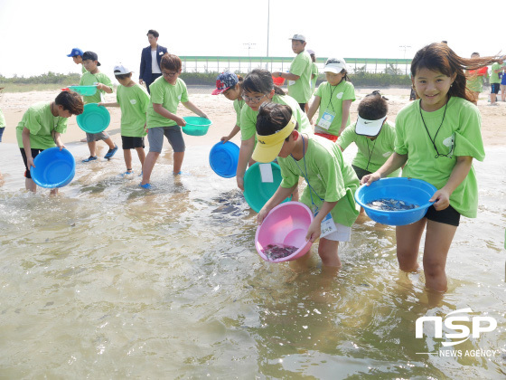 NSP통신-포스코켐텍이 12일 오후, 지역 어린이를 대상으로 푸른꿈 환경학교를 개최했다. 참가 어린이들이 영일만 살리기를 위해 치어를 방류하는 모습.