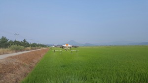 [NSP PHOTO]고흥군, 전국 최초 드론 이용 무상방제 실시