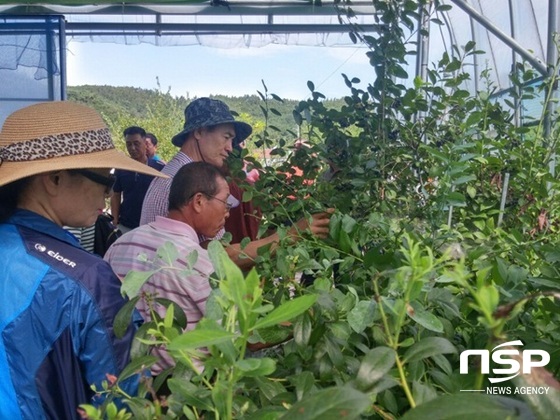 NSP통신-곡성군이 제6기 곡성명품농업대학 베리반 학생들을 대상으로 최근 실시한 선진농가 벤치마킹. (곡성군)