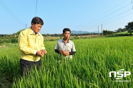 NSP통신- (고창군)