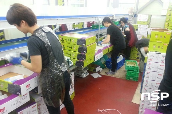 NSP통신- (남원시)