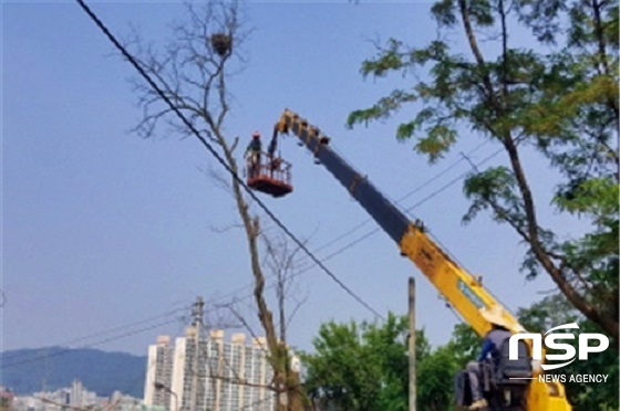 NSP통신- (정읍시)