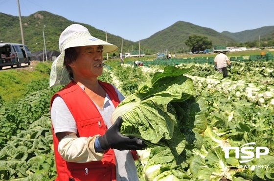 NSP통신- (순창군)