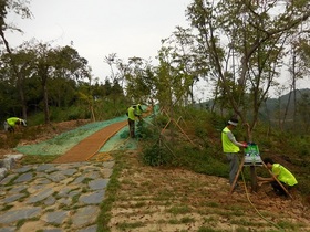 [NSP PHOTO]군산시, 월명공원 숲복원지 가뭄피해 극복 온힘