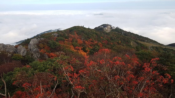 NSP통신-덕유산정상 향적봉에서 바라본 설천봉 모습. (사진=덕유산국립공원 제공)