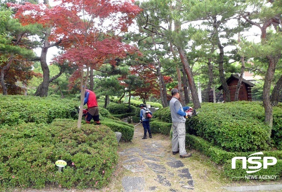 NSP통신- (정읍시)