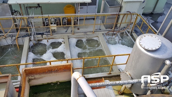 NSP통신- (정읍시)