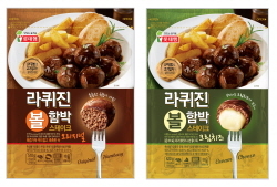 NSP통신-라퀴진 볼 함박스테이크 (롯데푸드 제공)