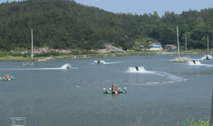 [NSP PHOTO]목포경찰, 유해수산식품 등 불량식품근절 노력