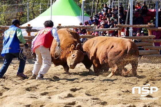 NSP통신- (정읍시)