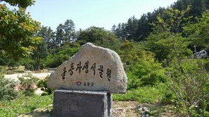 [NSP PHOTO]울릉군자생식물원 수목원 등록기준 규제개혁 통과