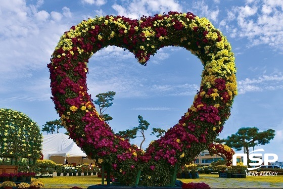 NSP통신- (부안군)