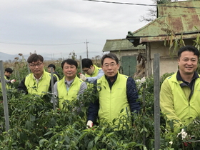 [NSP PHOTO]NH선물, 농촌 일손 돕기·농산물 구매 활동 펼쳐