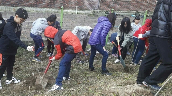 NSP통신-구운초 학생들이 무궁화 묘목을 구운공원에 심고 있다.