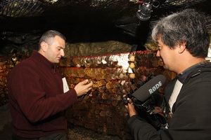 [NSP PHOTO]광명동굴,해외언론 집중 조명으로 유명세 탄다