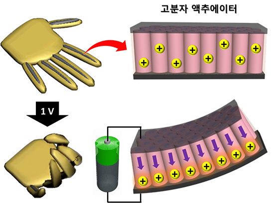 NSP통신-연구사진