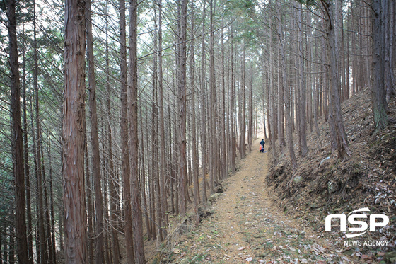 NSP통신-둘레길 (광양시)
