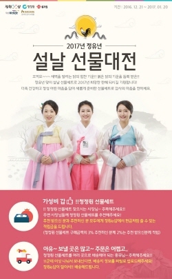NSP통신-정원e샵 2017 정유년 설날 선물대전 포스터. (대상 제공)