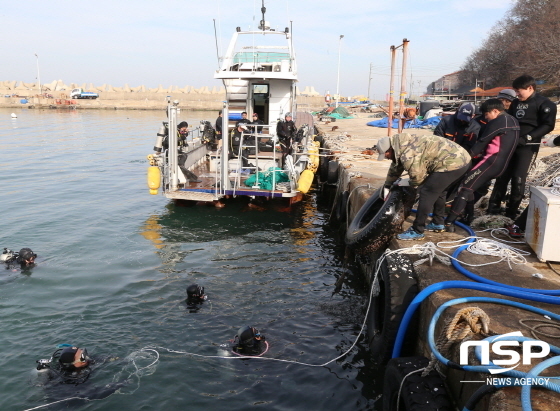 NSP통신-포항제철소 클린오션봉사단이 포항시 남구 동해면 흥환1리에서 수중 정화활동을 펼치고 있다 (포항제철소)