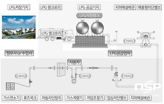 NSP통신- (울릉군청 제공)