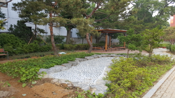 NSP통신-지동초등학교에 조성된 학교 숲 모습. (수원시청 제공)