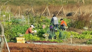 [NSP PHOTO]순천시, 농사체험과 건전한 여가활동 위해 공영텃밭 제공