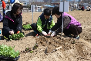 [NSP PHOTO]의왕시, 주말농장 3곳 330개 분양 신청자 모집