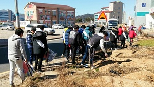 [NSP PHOTO]군산시, 비응항 일원 대청결 활동 전개