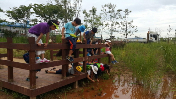 NSP통신-목포시 북항 맹꽁이 대체 서식지 (목포시)