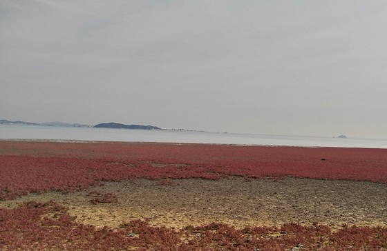 NSP통신-안산시 대부도 갯벌사진. (안산시)