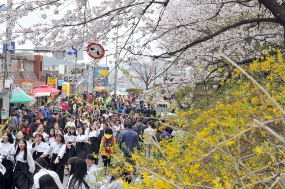 NSP통신-목포시, 꽃피는유달산축제 (목포시)